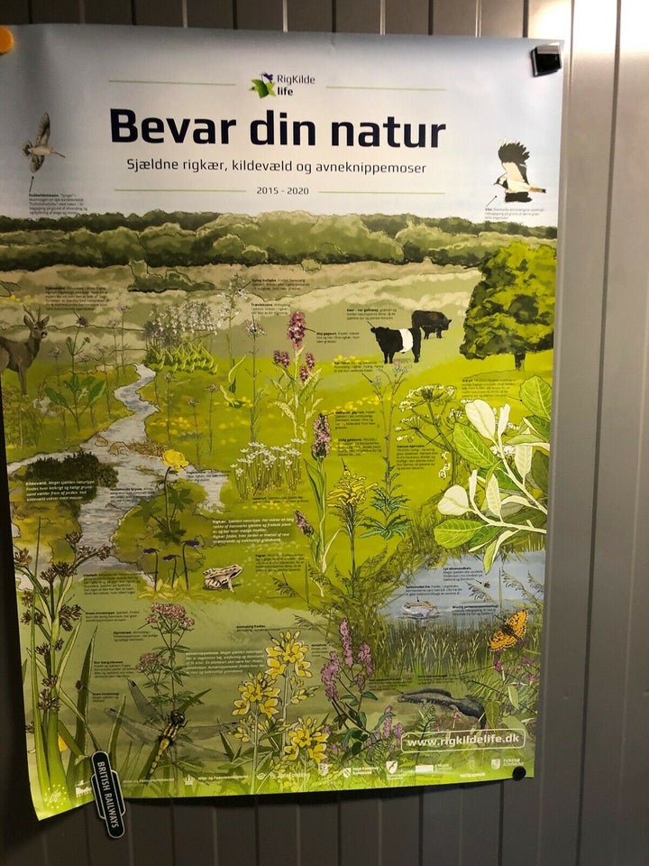 Plakater, Bevar naturen plakat