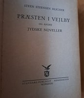 Præsten i Vejlbu og andre jydske noveller, Steen Steensen