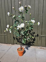 Kunstig rosenbusk