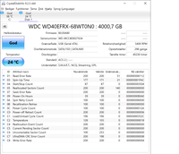 WDC, 12000 GB, God