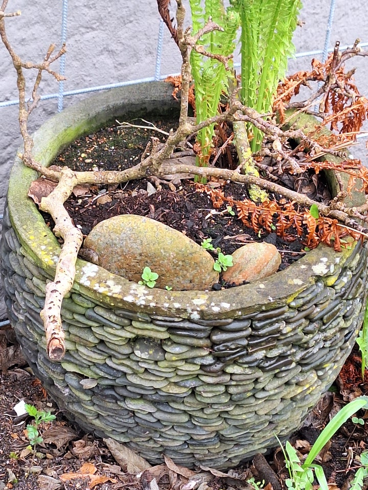 Diverse trætønder, blomsterpotter m.m.