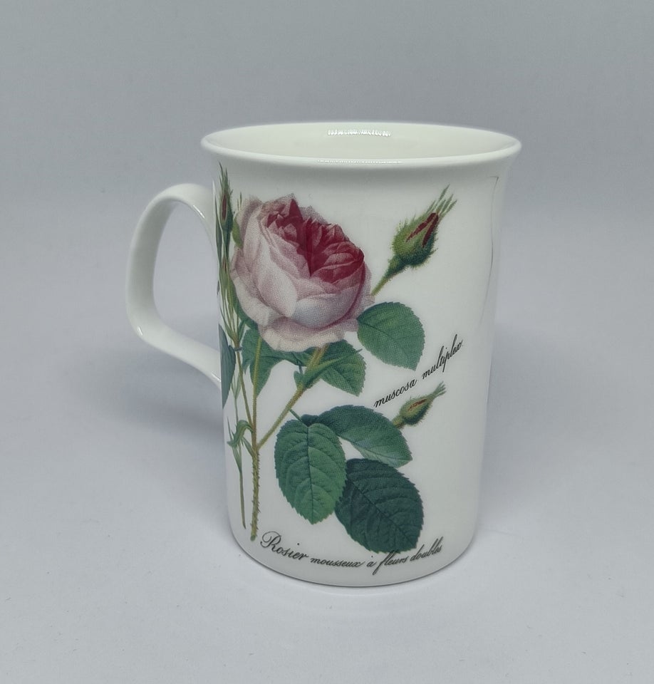 Porcelæn Tekrus Redout&#233; Roses