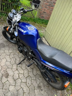 Suzuki, GS500e, 500 ccm, 47 hk, 1999, 40150 km, Blå/sort, m.afgift, Pæn GS 500e til ren vinterpris
M