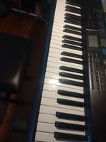 Keyboard, Casio