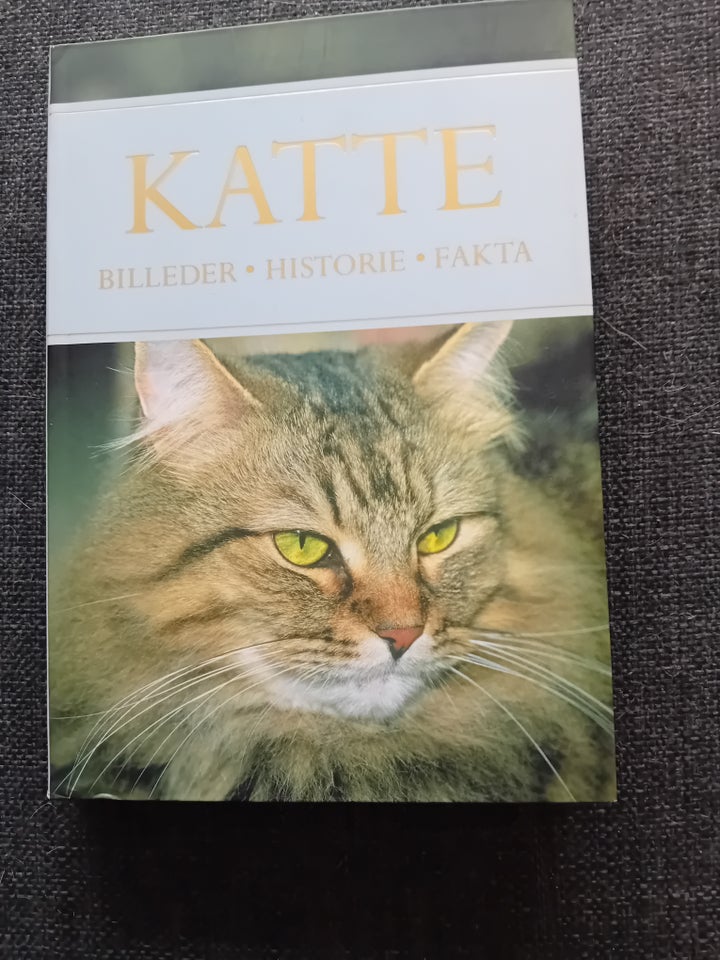 Katte billeder historie fakta, emne: dyr