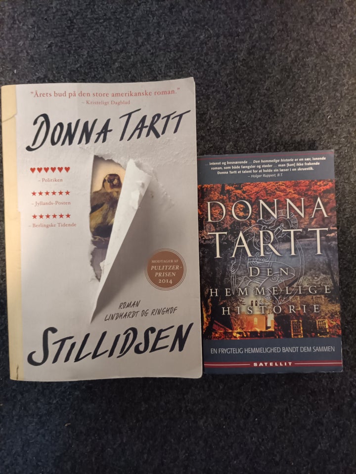 Donna tartt bøger, Den hemmelige historie og stillidsen,