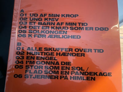 LP, Minds of 99, Live Roskilde Festival 2018, Uåbnet