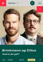 Brinkmann & Cilius - Hvad er der galt? , Foredrag,