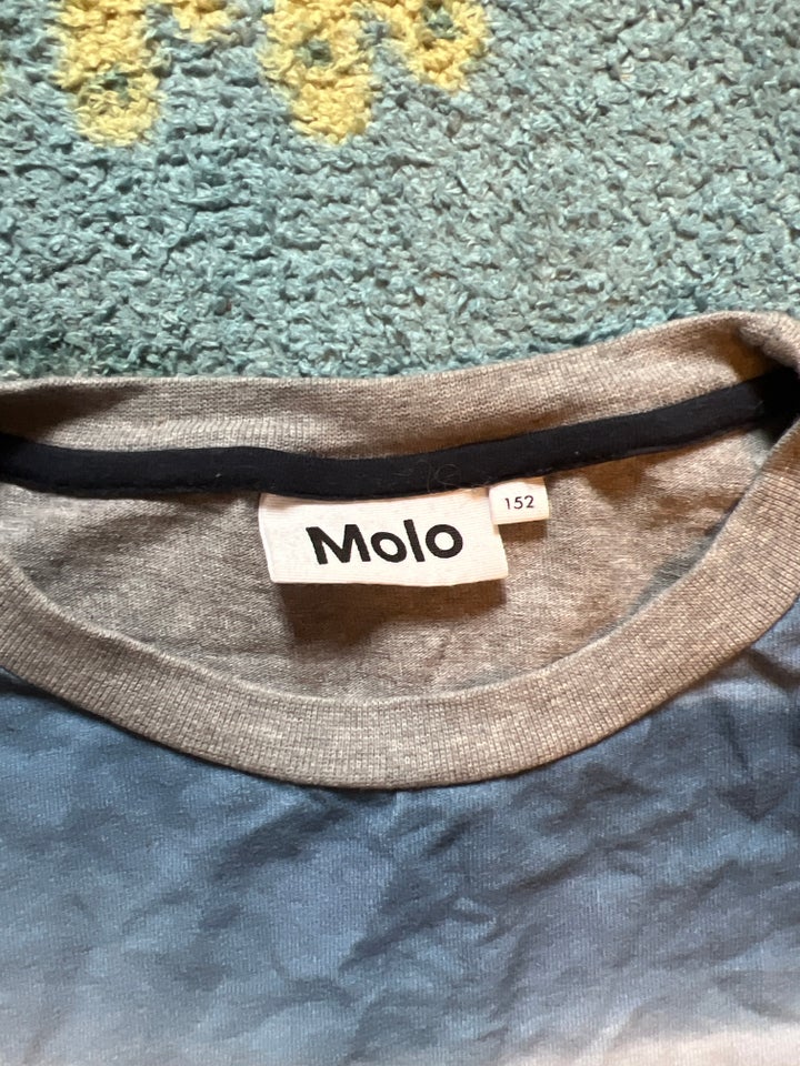 Bluse, Langærmet, Molo