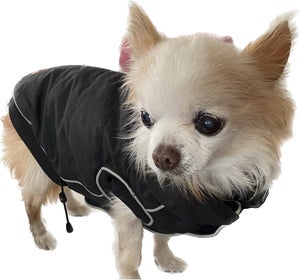 vest Ved daggry planer Find Tøj Til Chihuahua på DBA - køb og salg af nyt og brugt