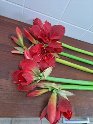 Kunstige blomster, 5 stk røde naturtro blomster.
4 verdenshjørner
Alle 5 for 140 kr.
Kan sendes for 