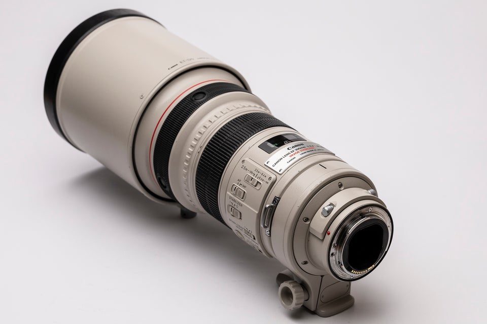 Supertele, Canon, EF 300 f/2.8 L IS mkI