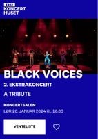 A Tribute to Black Voices, Koncert, DR koncertsalen