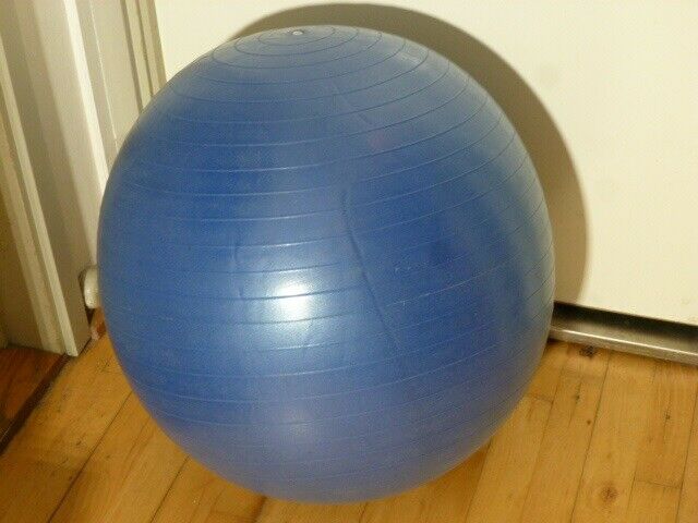 65 cm Swiss Ball