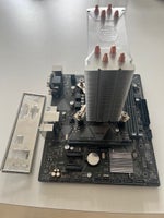 Bundkort/Processor, Asus/Intel, Prime H310M-K