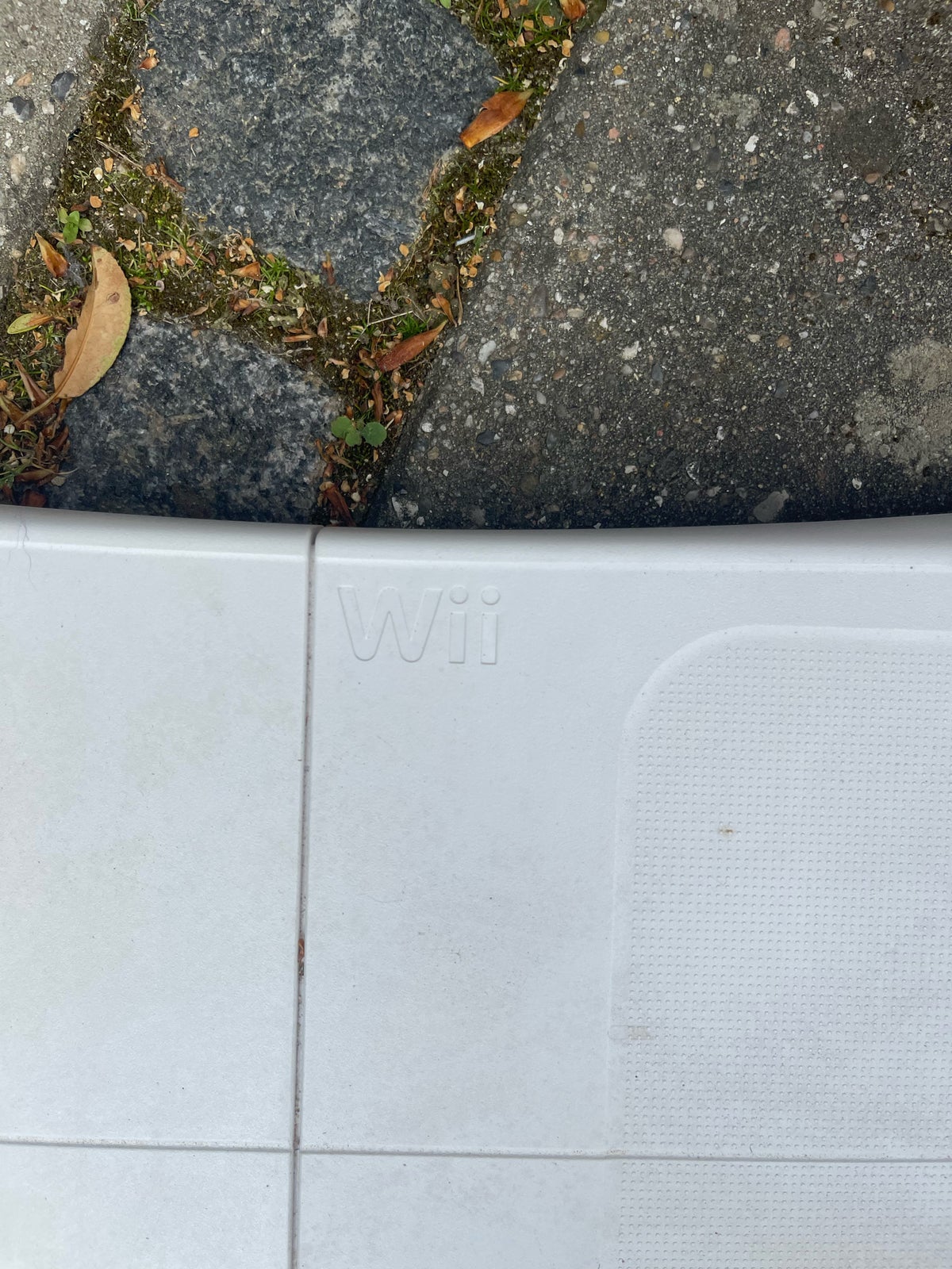 Wii vægt , Nintendo Wii