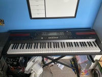 Keyboard, Casio WK110