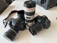 Canon, Kamera , Deal