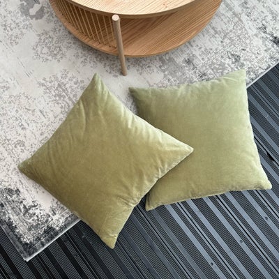 Pude, 2 stk. sofapuder i lys olivengrøn.

Måler 50x50 cm.

Begge puder er med fyld med fjer.

Fra dy