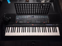 Keyboard, Yamaha PSR-500