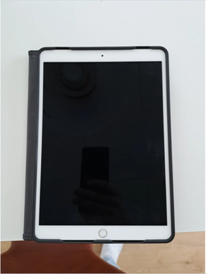 iPad Pro, hvid, Perfekt, Super fin Ipad Pro 10,5" WiFi + cellular I hvid, med sort targus cover sælg