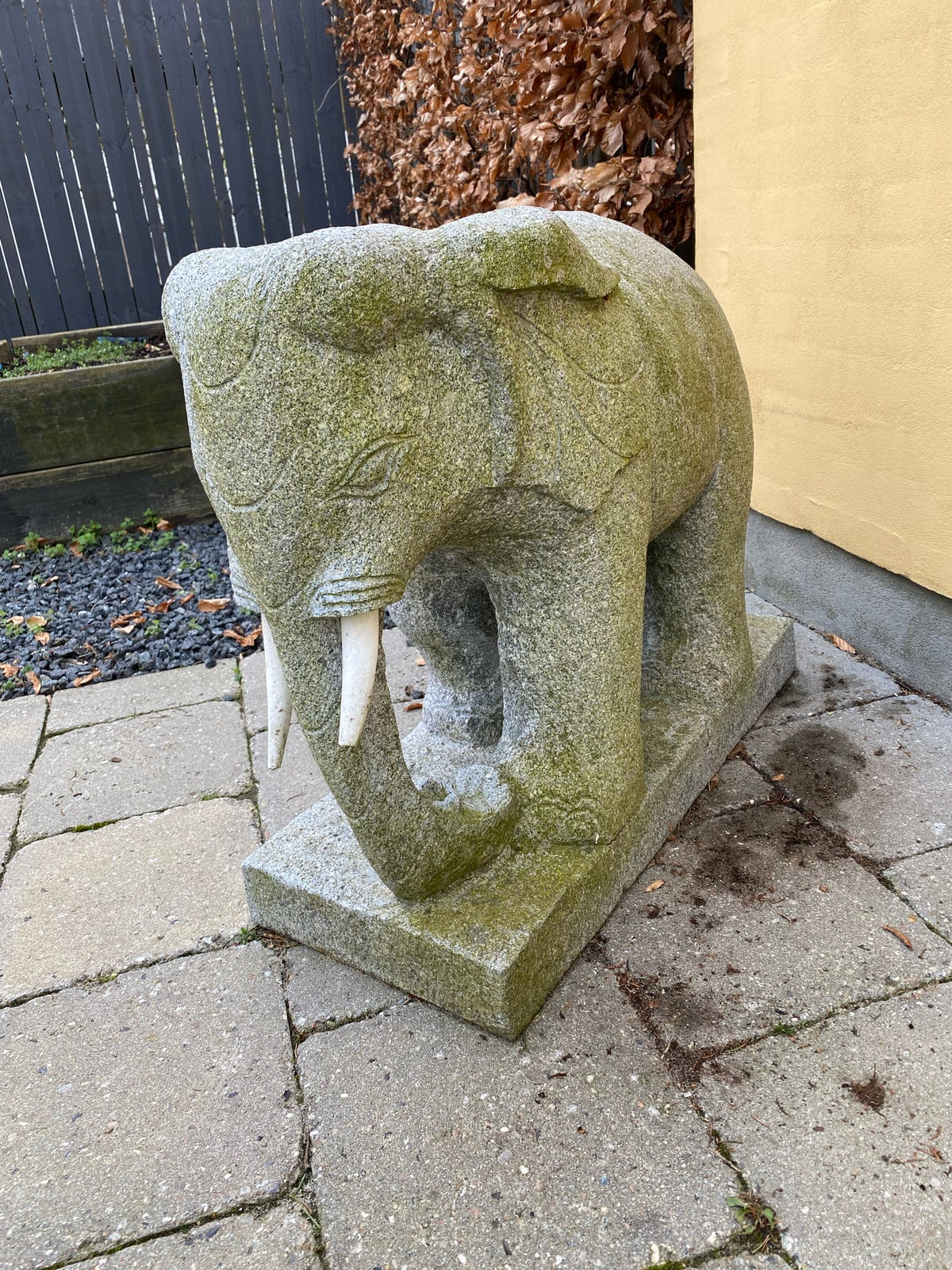 Granit elefant med tænder