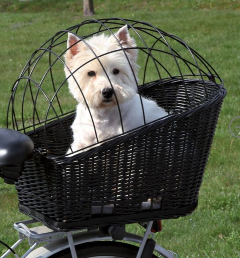 Andet, Cykelkurv til hund