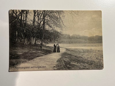 Postkort, Kongekilden (Nr 157), Fuglesangsøen ved Kongekilden
Postbrev brugt

Jeg har mange forskell
