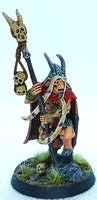 Warhammer Great bray - shaman