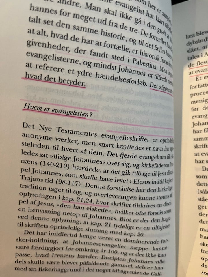 Johannes evangeliet fortolket, Johannes værge,