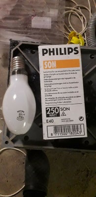 Lampadina Philips PAR38 Economy 80W E27 220-230V blu