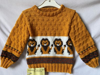 Sweater, Ny håndstrikket trøje., Eget, str. 92, Trøjen er str 2 år ( 92 ) og strikket i extrafine me
