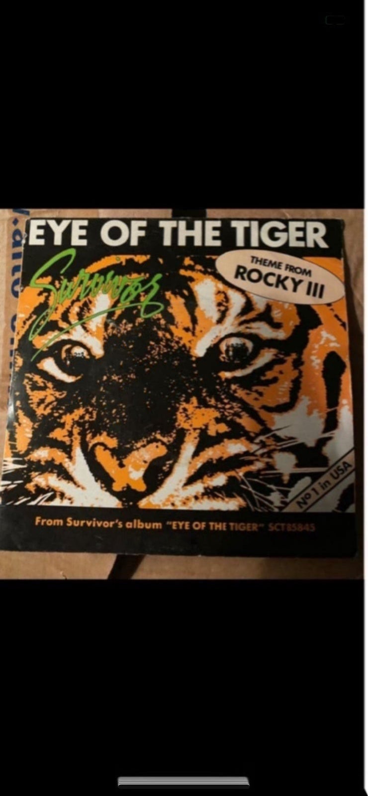 Single, Survivor, Eye of The Tiger