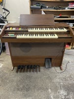 Orgel, Belton