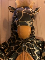 Giraf dragt 2-4 år