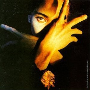 ¤/ Terence Trent D arby: CD : Neither Fish Nor Flesh, pop, Terence Trent D'Arby – 
Terence Trent D'A