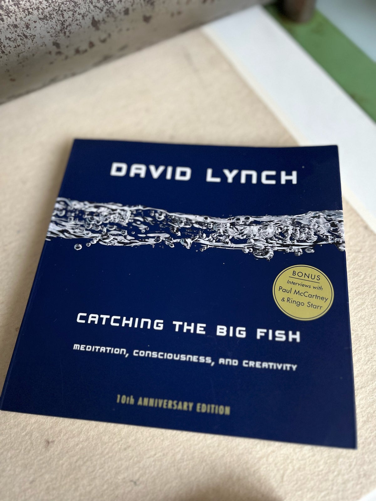 Catching the Big fish, David Lynch , emne: kunst og kultur – dba