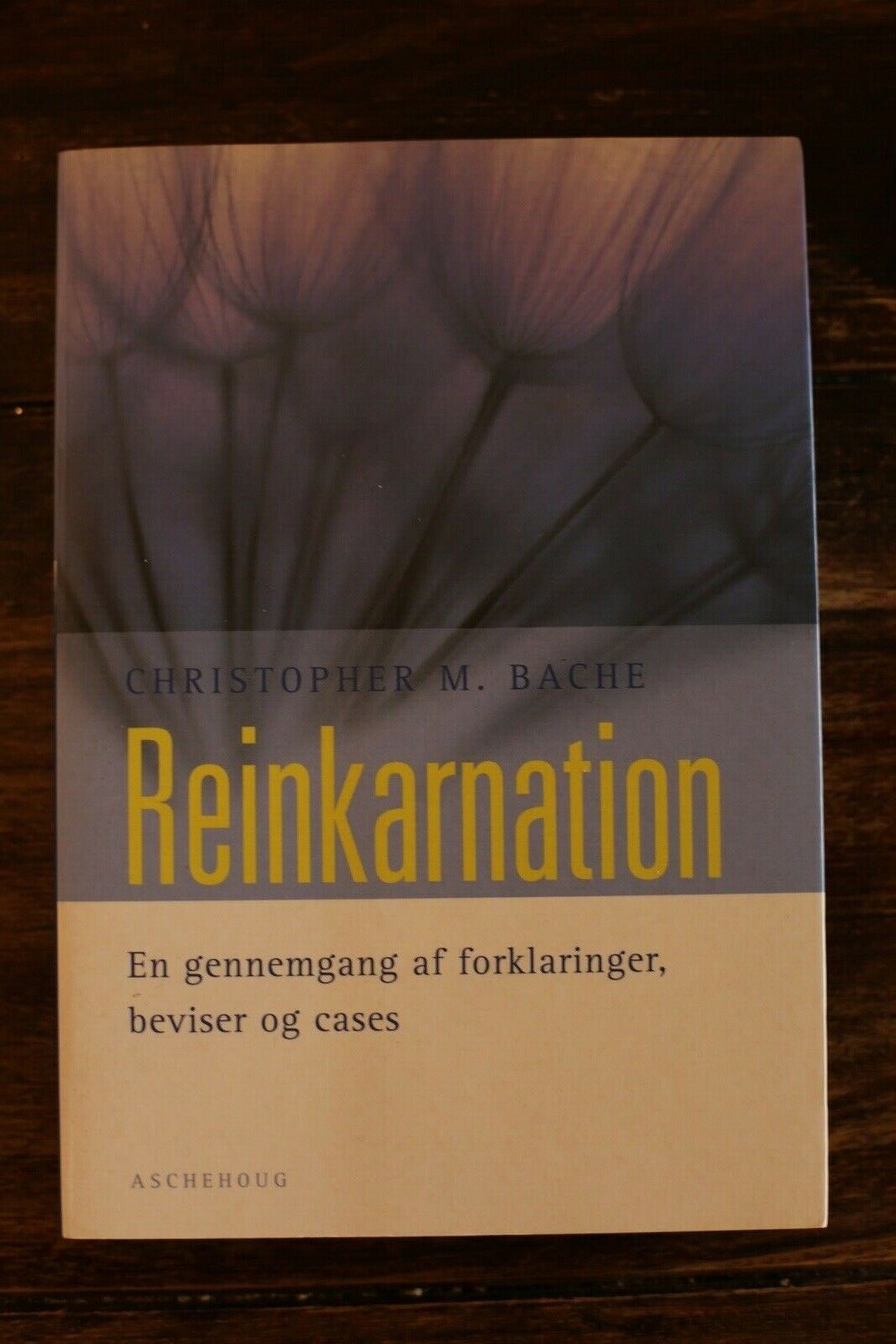 Reinkarnation, Christopher M. Bache, emne: personlig