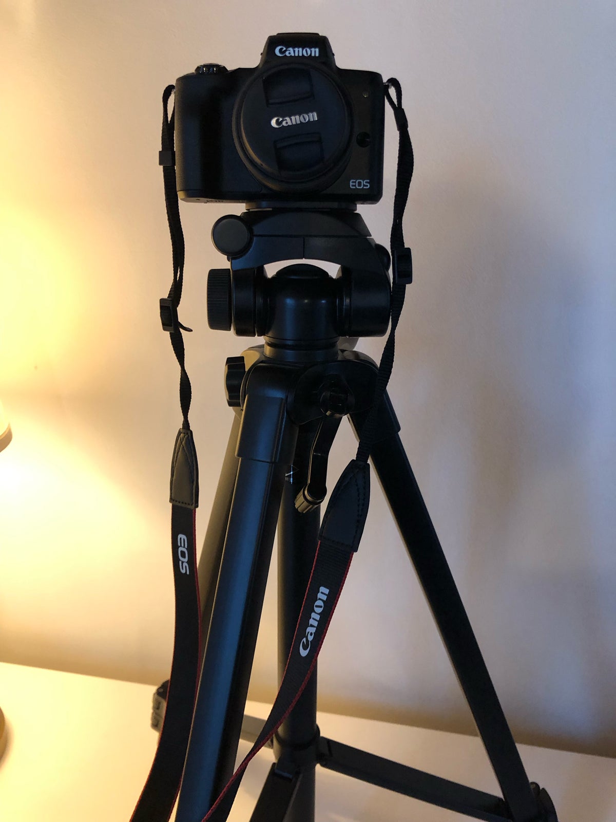 Canon, EOS M50, 24,1 megapixels