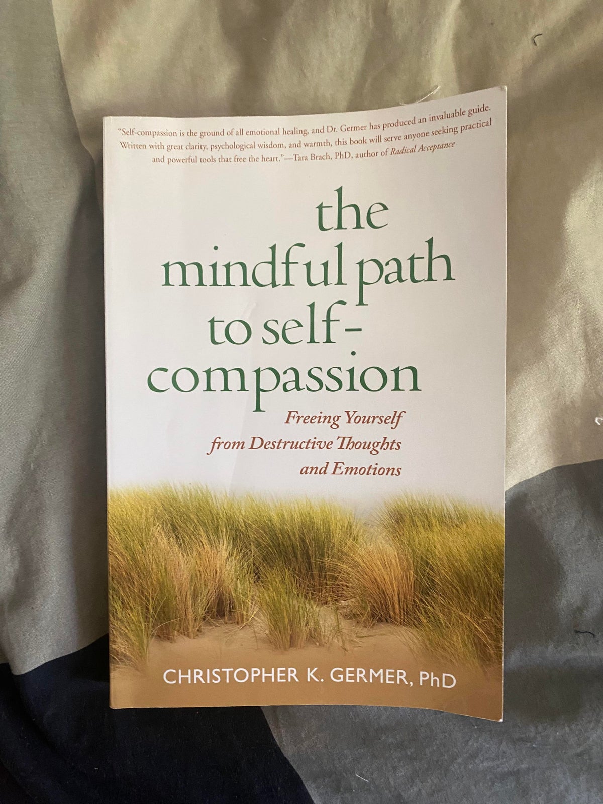 The Mindful Path to Self-Compassion: Freeing Yourself from Destructive  Thoughts and Emotions