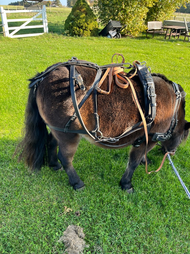 Køresele, Køresele til miniature / shetlandspony