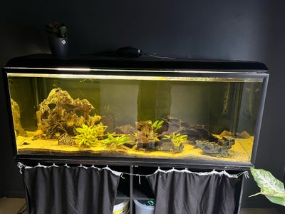 Akvarium, 500 liter