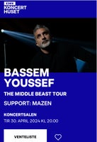 Bassen Youssef, Bassem Youssef