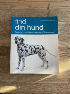Find Hunderacer - Jylland DBA - køb og salg af nyt og brugt