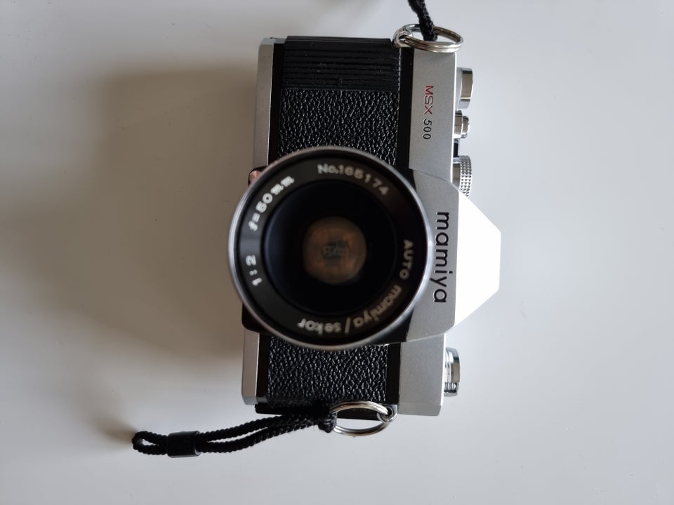 Mamiya, MSX 500 with 50mm f2, God