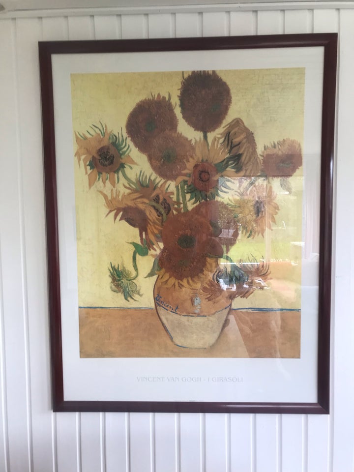 Plakat, Van Gogh, motiv: Solsikken fra Girasoli