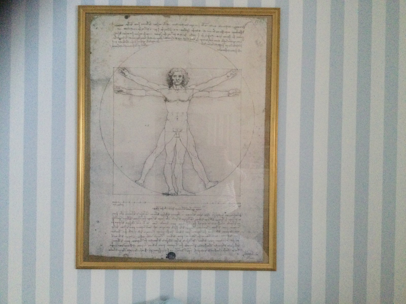 Litografi, da Vinci , motiv: vitruvianske Mand – dba.dk – Køb og Salg af Nyt og