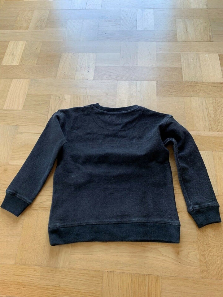 Sweatshirt, Trøje , Molo