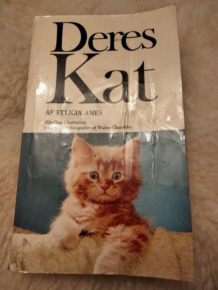 Deres kat, Felicia Ames, emne: dyr