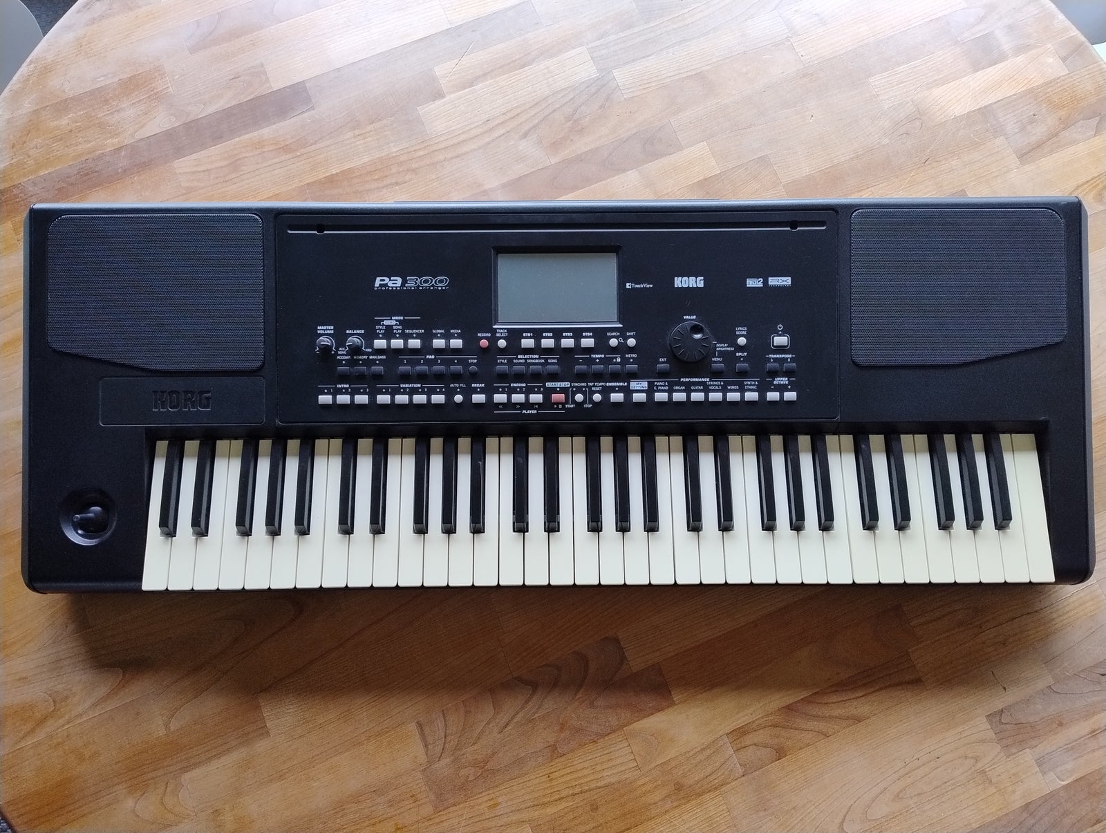Keyboard, Korg Korg PA 300
